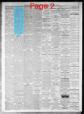 Page thumbnail for Nashville Union And American