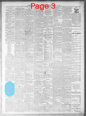 Page thumbnail for Nashville Union And American