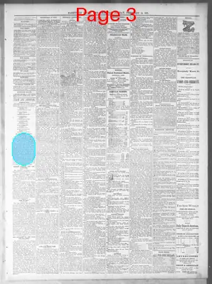 Page thumbnail for Nashville Union And American