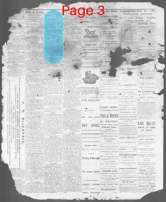 Page thumbnail for The Pulaski Citizen