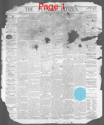Page thumbnail for The Pulaski Citizen