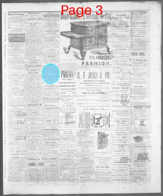 Page thumbnail for The Pulaski Citizen