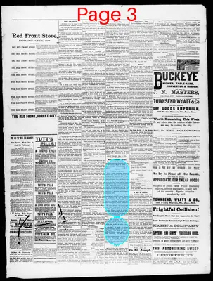 Page thumbnail for The Holt County Sentinel