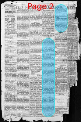 Page thumbnail for The Donaldsonville Chief