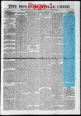 Page thumbnail for The Donaldsonville Chief
