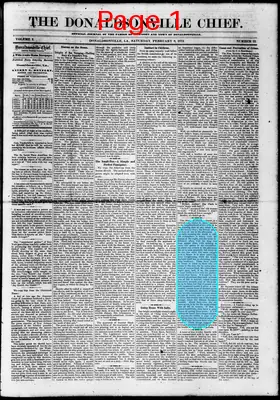 Page thumbnail for The Donaldsonville Chief
