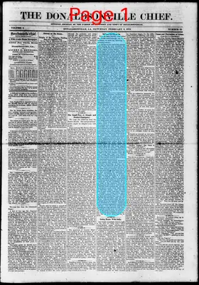 Page thumbnail for The Donaldsonville Chief