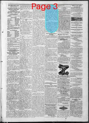 Page thumbnail for The Donaldsonville Chief
