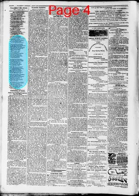 Page thumbnail for The Donaldsonville Chief