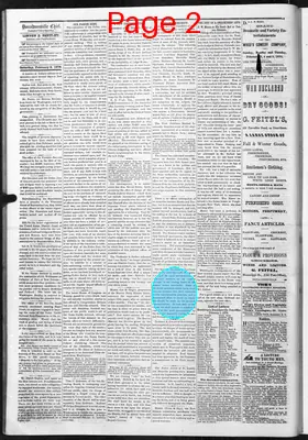 Page thumbnail for The Donaldsonville Chief