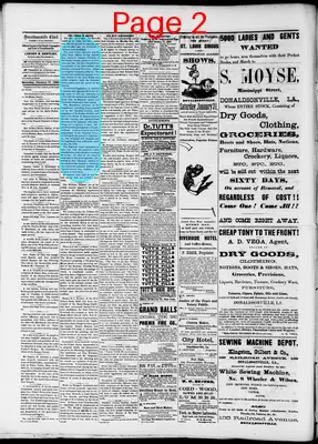 Page thumbnail for The Donaldsonville Chief