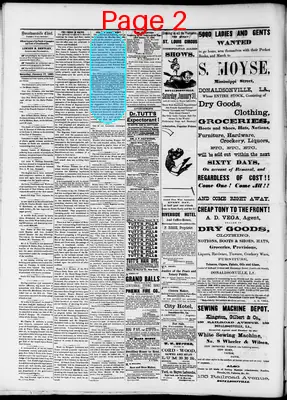 Page thumbnail for The Donaldsonville Chief