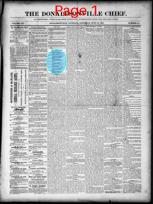 Page thumbnail for The Donaldsonville Chief