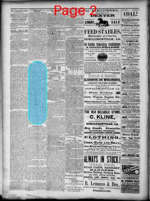 Page thumbnail for The Donaldsonville Chief
