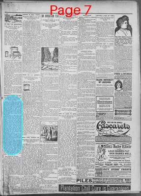 Page thumbnail for The Donaldsonville Chief