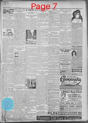 Page thumbnail for The Donaldsonville Chief