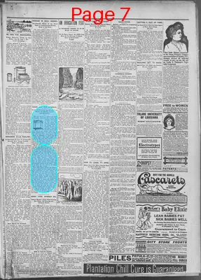 Page thumbnail for The Donaldsonville Chief