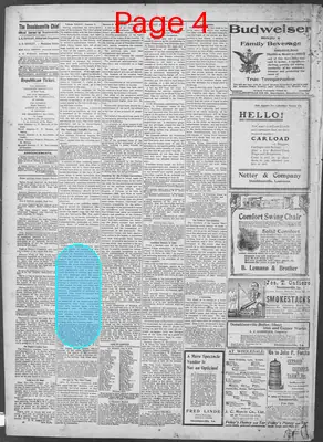 Page thumbnail for The Donaldsonville Chief
