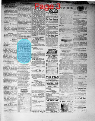 Page thumbnail for The Ouachita Telegraph