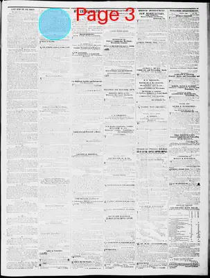 Page thumbnail for Lynchburg Daily Virginian