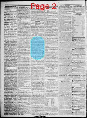 Page thumbnail for Lynchburg Daily Virginian