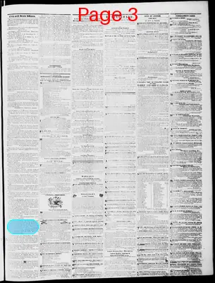 Page thumbnail for Lynchburg Daily Virginian