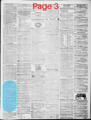 Page thumbnail for Lynchburg Daily Virginian
