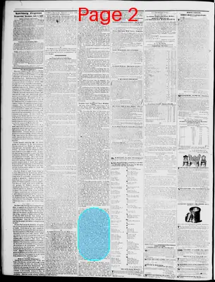 Page thumbnail for Lynchburg Daily Virginian
