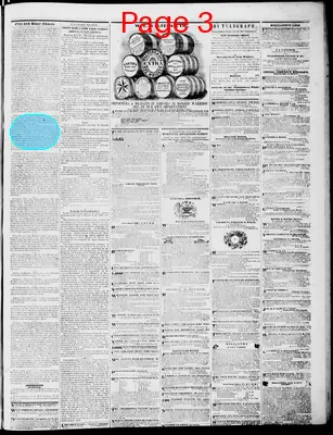 Page thumbnail for Lynchburg Daily Virginian