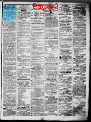 Page thumbnail for Lynchburg Daily Virginian