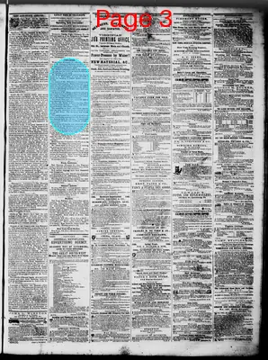 Page thumbnail for Lynchburg Daily Virginian