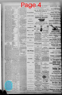 Page thumbnail for The Greenville Times