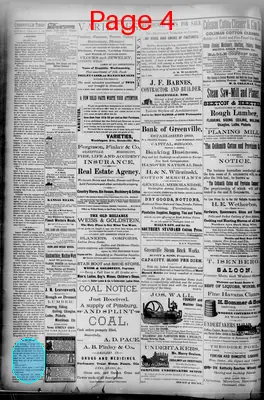 Page thumbnail for The Greenville Times