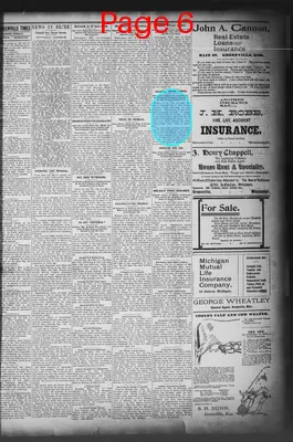 Page thumbnail for The Greenville Times