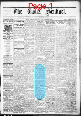 Page thumbnail for The Cadiz Sentinel