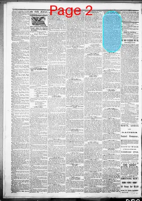 Page thumbnail for The Cadiz Sentinel