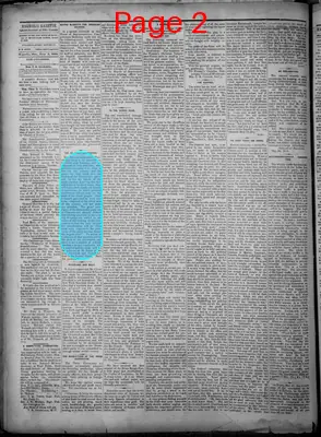 Page thumbnail for The Magnolia Gazette