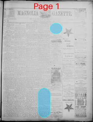 Page thumbnail for The Magnolia Gazette