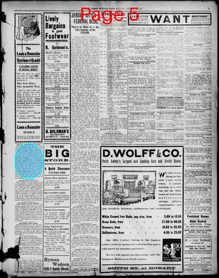 Page thumbnail for Perth Amboy Evening News