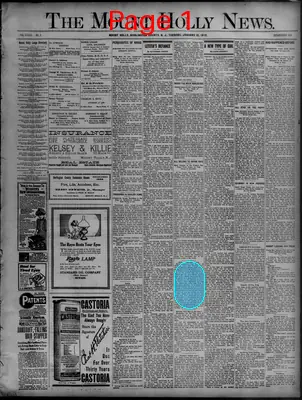 Page thumbnail for The Mount Holly News