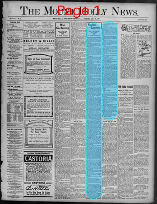 Page thumbnail for The Mount Holly News