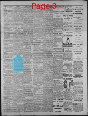 Page thumbnail for The Morris County Chronicle