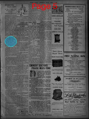 Page thumbnail for The Morris County Chronicle