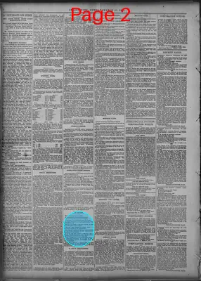 Page thumbnail for The Sunday Morning News