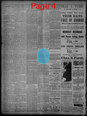 Page thumbnail for The Sunday Morning News