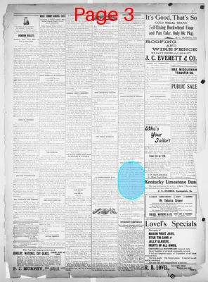 Page thumbnail for The Public Ledger