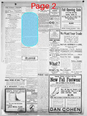 Page thumbnail for The Public Ledger