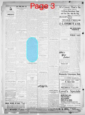 Page thumbnail for The Public Ledger