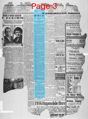 Page thumbnail for The Public Ledger