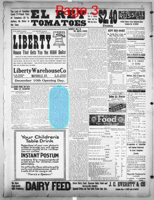 Page thumbnail for The Public Ledger